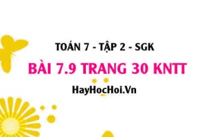 Bài 7.9 trang 30 Toán 7 Tập 2 Kết nối tri thức